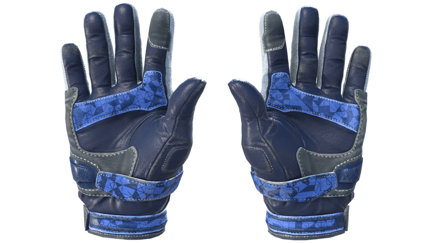 ★ Moto Gloves | Polygon (Field-Tested)