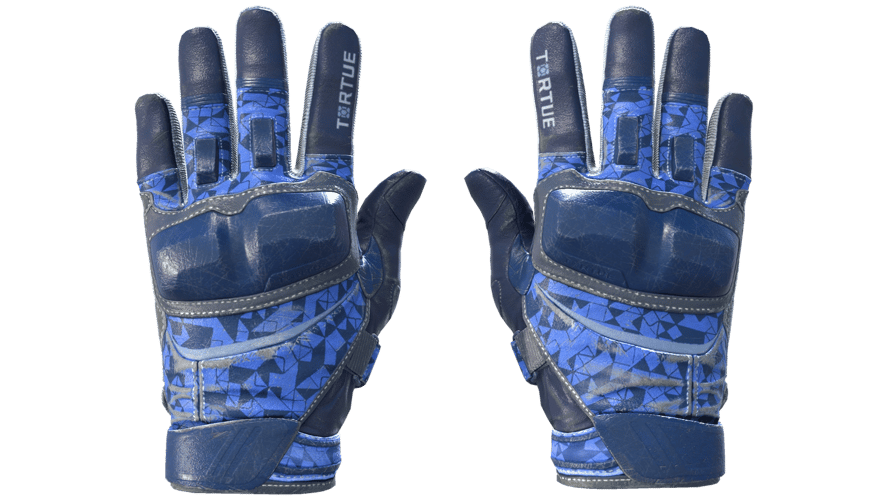 ★ Moto Gloves | Polygon (Field-Tested)