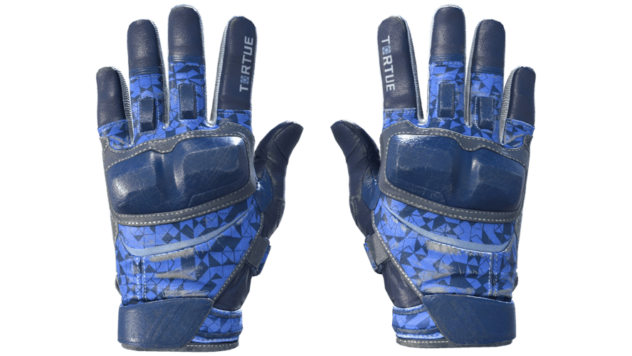 ★ Moto Gloves | Polygon (Field-Tested)