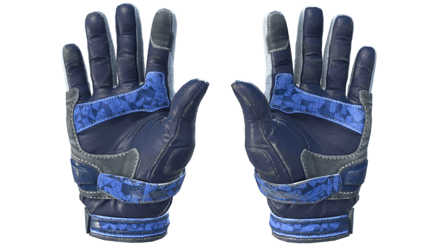 ★ Moto Gloves | Polygon (Field-Tested)