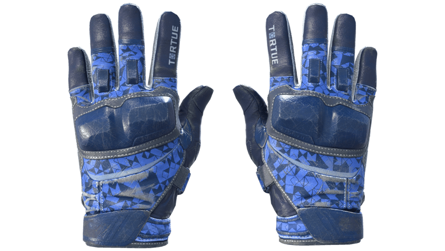 ★ Moto Gloves | Polygon (Field-Tested)