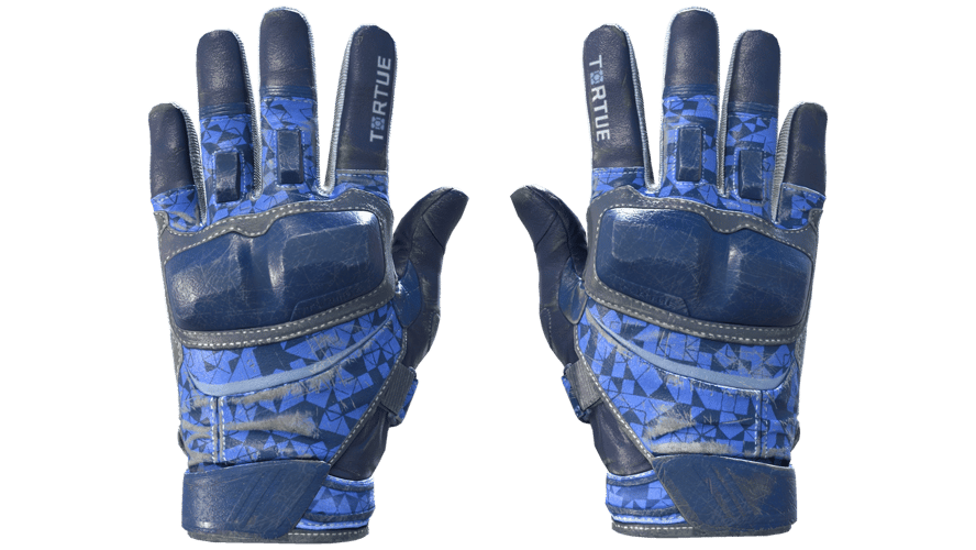 ★ Moto Gloves | Polygon (Field-Tested)