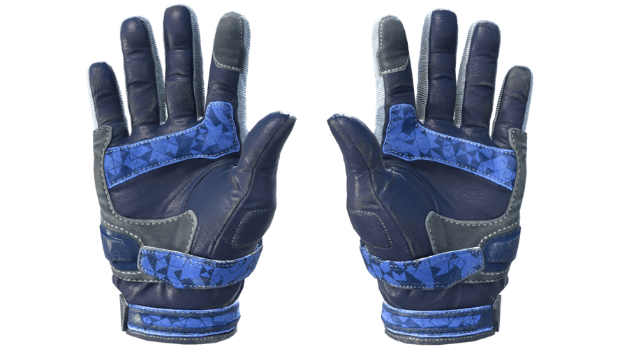 ★ Moto Gloves | Polygon (Field-Tested)