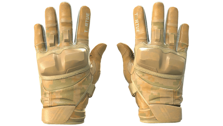 ★ Moto Gloves | Transport (Factory New)