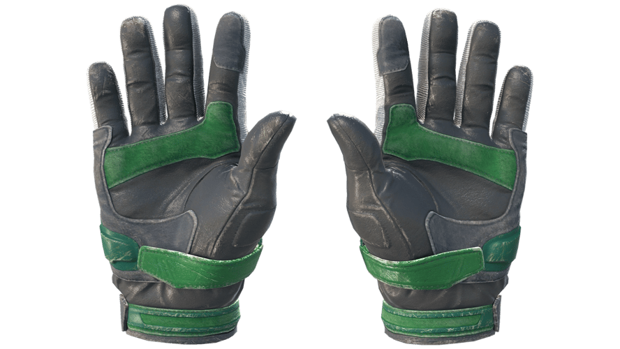 ★ Moto Gloves | Turtle (Field-Tested)