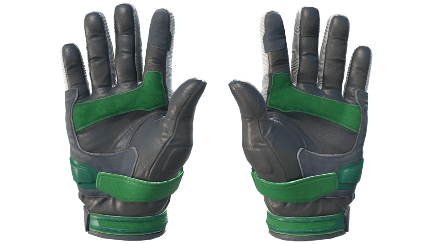 ★ Moto Gloves | Turtle (Minimal Wear)