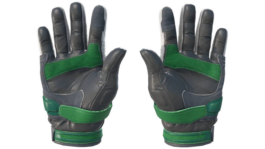 ★ Moto Gloves | Turtle (Minimal Wear)