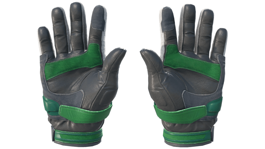 ★ Moto Gloves | Turtle (Minimal Wear)
