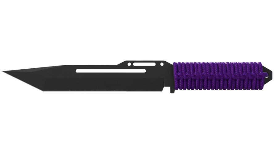 ★ Paracord Knife | Ultraviolet (Factory New)