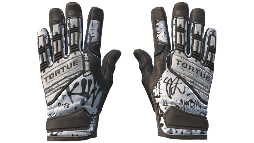 ★ Specialist Gloves | Blackbook (Field-Tested)