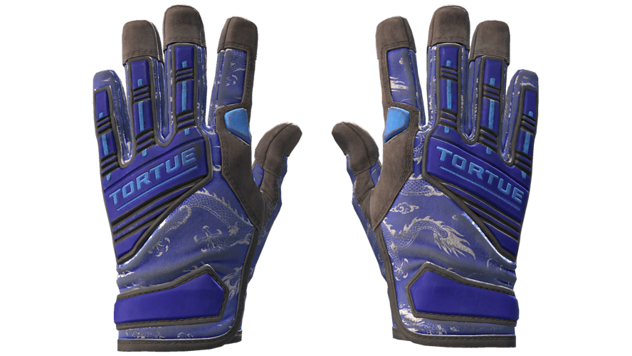 ★ Specialist Gloves | Cloud Chaser (Battle-Scarred)