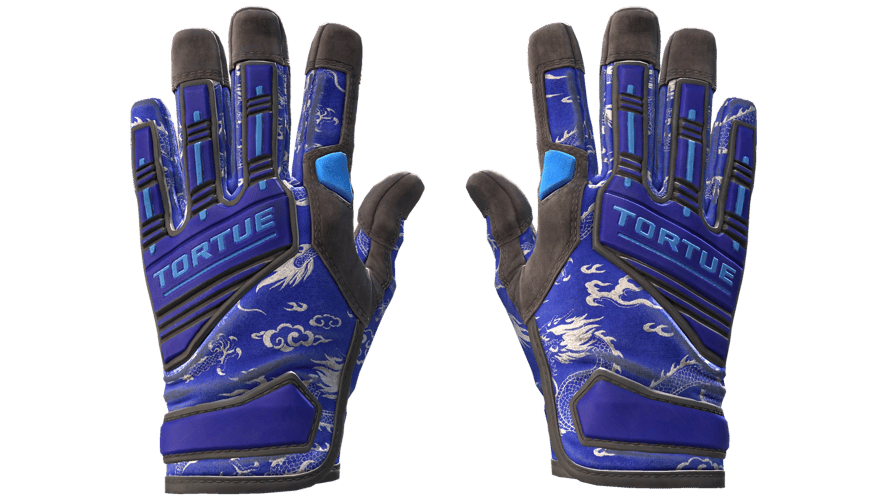 ★ Specialist Gloves | Cloud Chaser (Field-Tested)