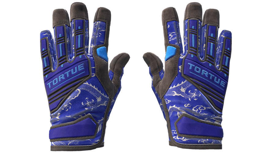 ★ Specialist Gloves | Cloud Chaser (Field-Tested)