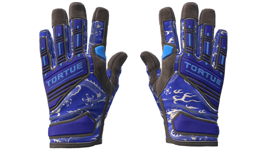 ★ Specialist Gloves | Cloud Chaser (Field-Tested)