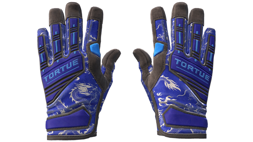 ★ Specialist Gloves | Cloud Chaser (Field-Tested)
