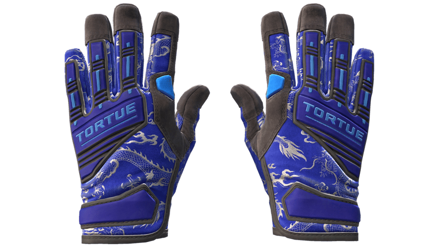 ★ Specialist Gloves | Cloud Chaser (Minimal Wear)