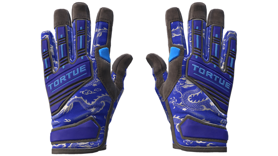 ★ Specialist Gloves | Cloud Chaser (Minimal Wear)
