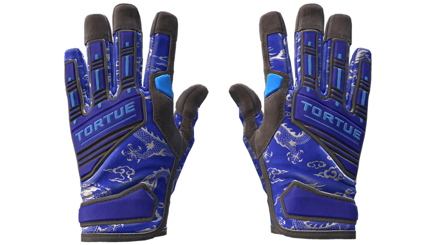 ★ Specialist Gloves | Cloud Chaser (Minimal Wear)