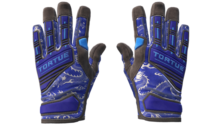 ★ Specialist Gloves | Cloud Chaser (Well-Worn)