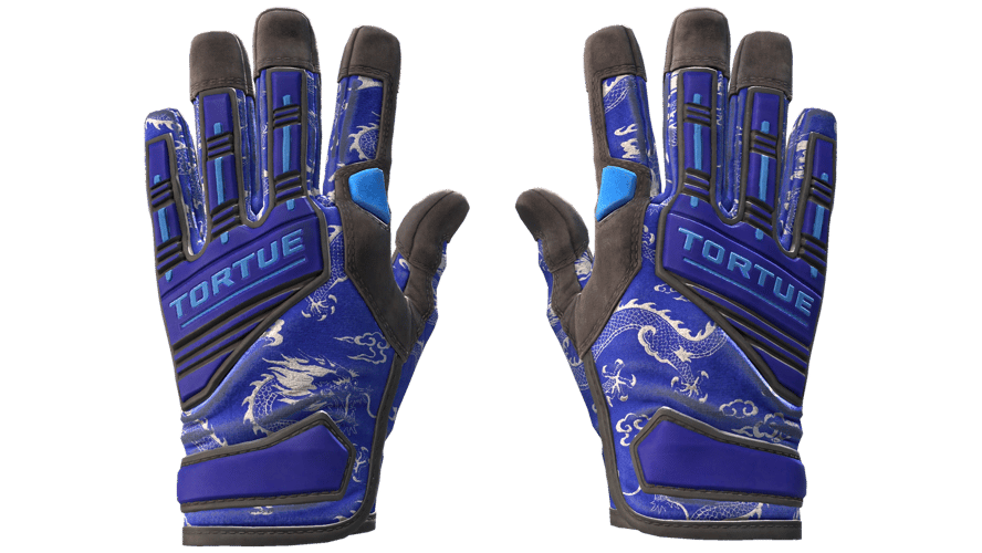 ★ Specialist Gloves | Cloud Chaser (Well-Worn)