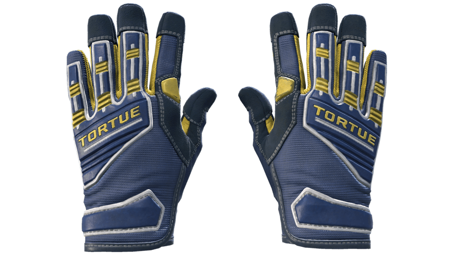 ★ Specialist Gloves | Field Agent (Minimal Wear)