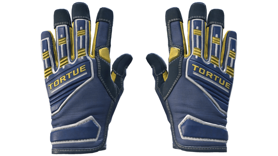 ★ Specialist Gloves | Field Agent (Minimal Wear)