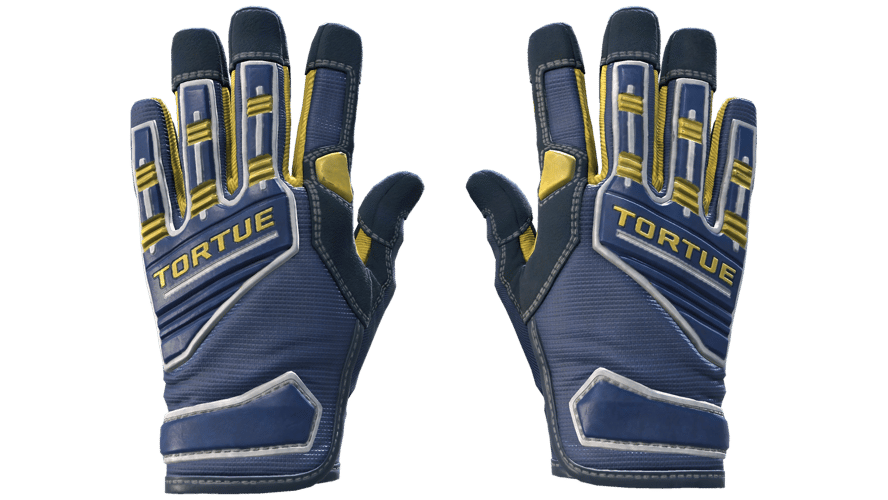 ★ Specialist Gloves | Field Agent (Minimal Wear)