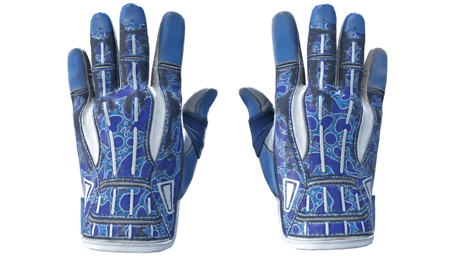 ★ Sport Gloves | Amphibious (Field-Tested)