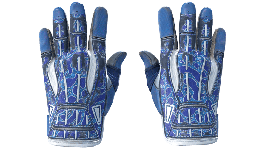 ★ Sport Gloves | Amphibious (Field-Tested)