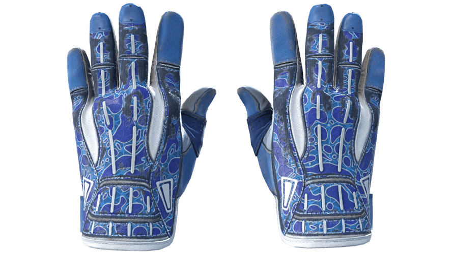 ★ Sport Gloves | Amphibious (Field-Tested)