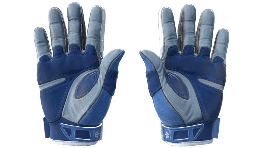 ★ Sport Gloves | Amphibious (Field-Tested)