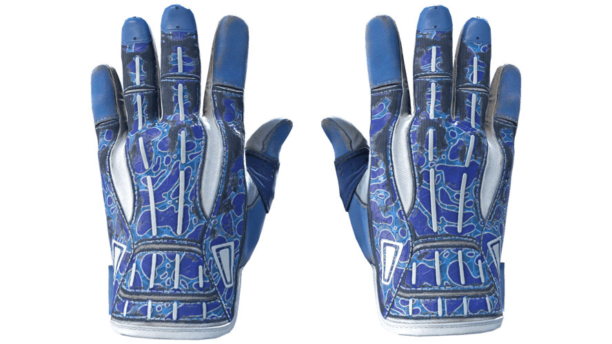 ★ Sport Gloves | Amphibious (Field-Tested)