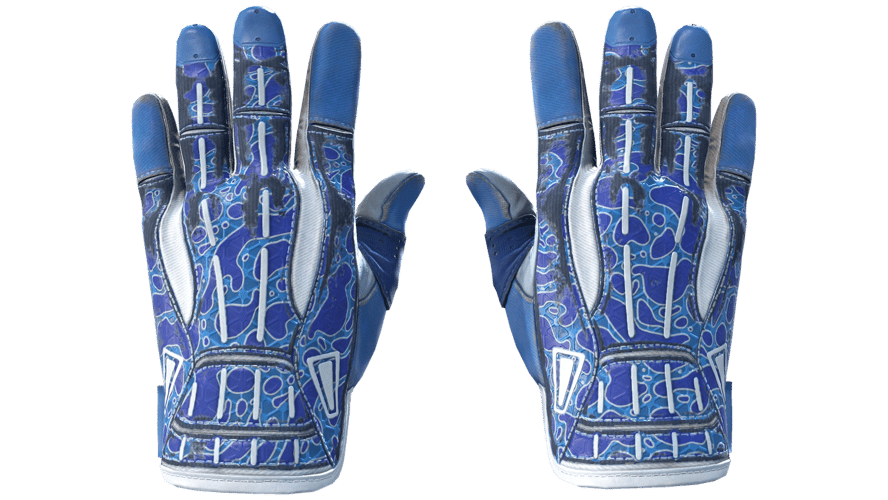 ★ Sport Gloves | Amphibious (Field-Tested)