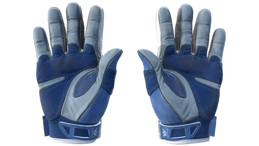 ★ Sport Gloves | Amphibious (Field-Tested)