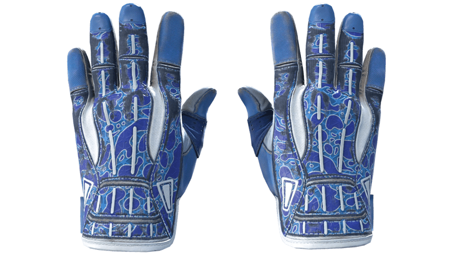 ★ Sport Gloves | Amphibious (Field-Tested)