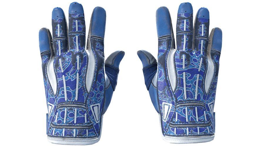 ★ Sport Gloves | Amphibious (Field-Tested)