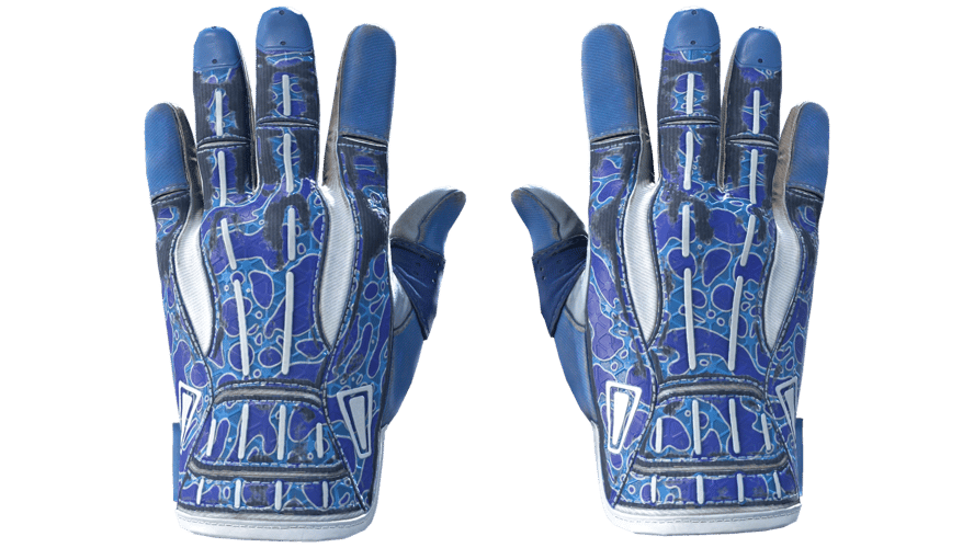 ★ Sport Gloves | Amphibious (Field-Tested)
