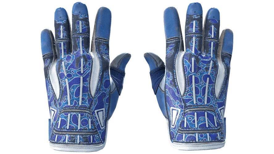 ★ Sport Gloves | Amphibious (Field-Tested)