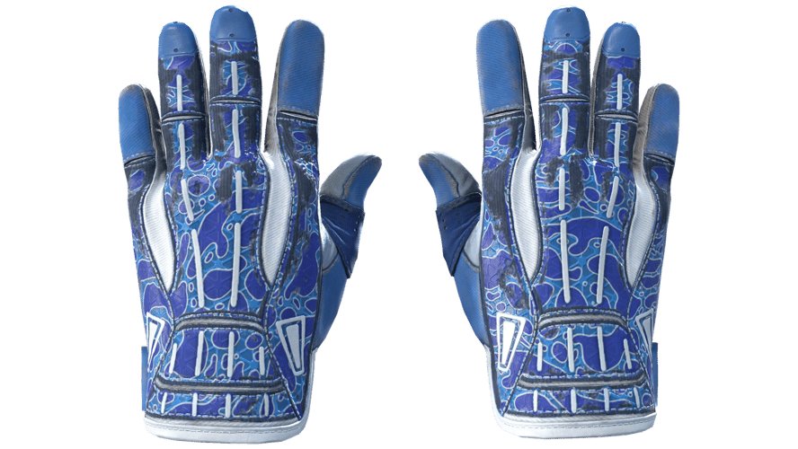 ★ Sport Gloves | Amphibious (Field-Tested)