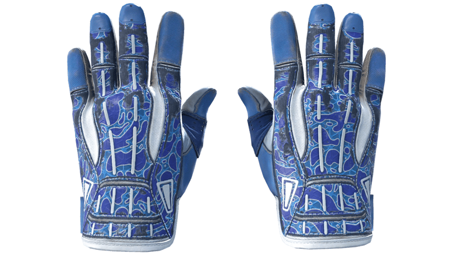 ★ Sport Gloves | Amphibious (Field-Tested)