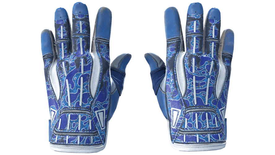 ★ Sport Gloves | Amphibious (Field-Tested)