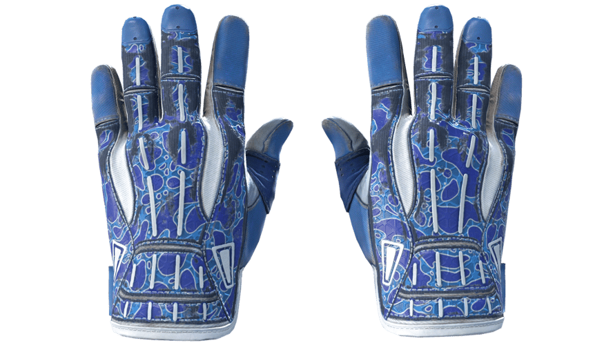 ★ Sport Gloves | Amphibious (Field-Tested)