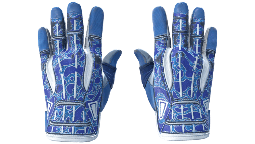 ★ Sport Gloves | Amphibious (Minimal Wear)
