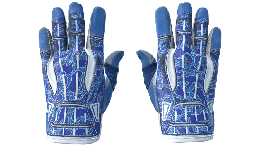 ★ Sport Gloves | Amphibious (Minimal Wear)