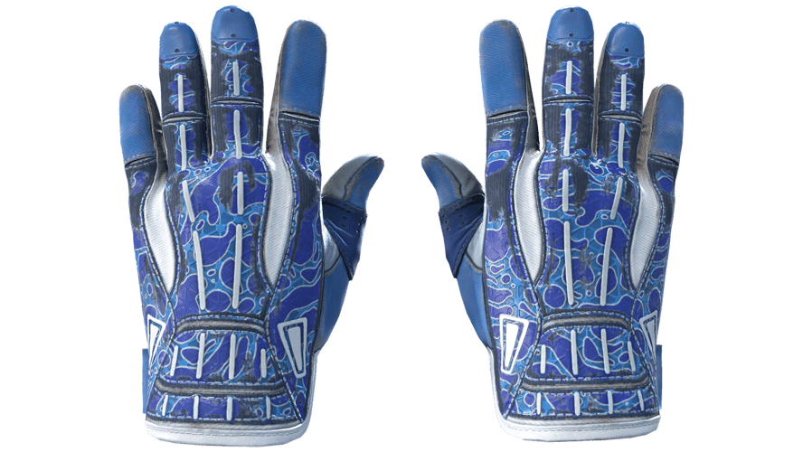 ★ Sport Gloves | Amphibious (Well-Worn)