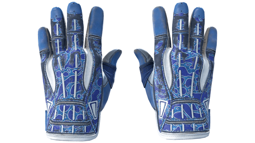 ★ Sport Gloves | Amphibious (Well-Worn)