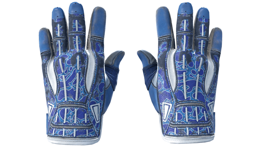 ★ Sport Gloves | Amphibious (Well-Worn)
