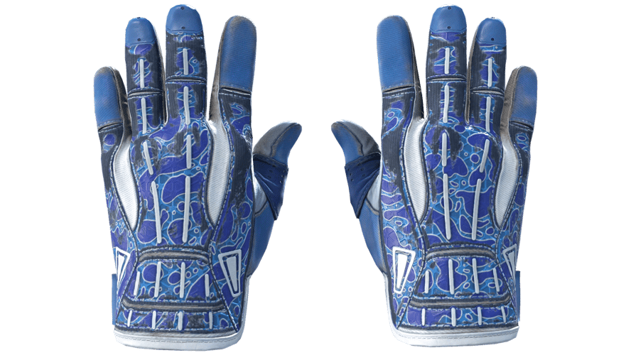 ★ Sport Gloves | Amphibious (Well-Worn)