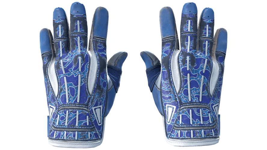 ★ Sport Gloves | Amphibious (Well-Worn)