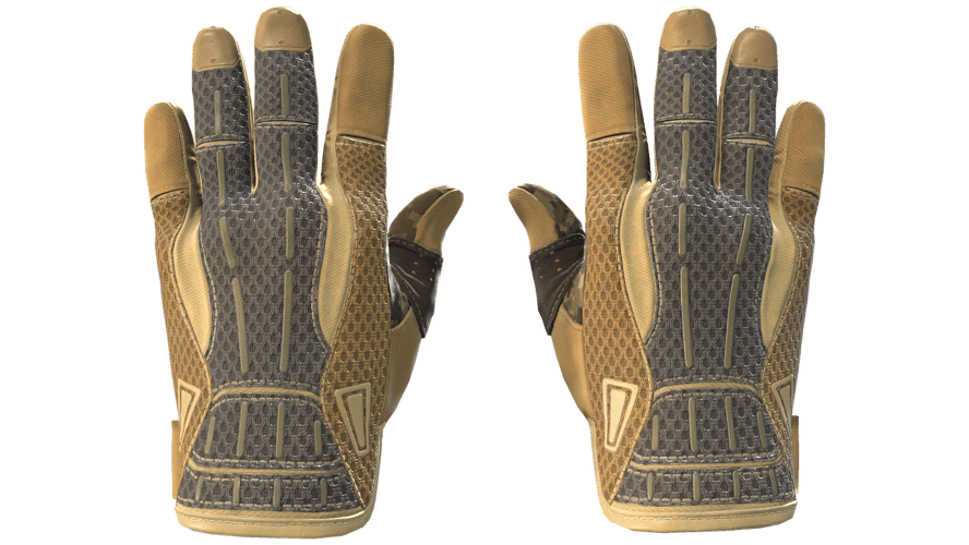 ★ Sport Gloves | Arid (Factory New)